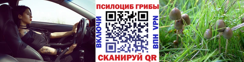 это формула  магазин продажи   Рошаль  Галлюциногенные грибы MAGIC MUSHROOMS 